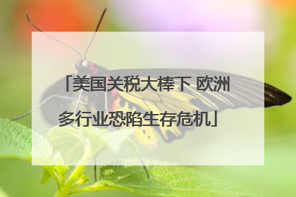 美国关税大棒下 欧洲多行业恐陷生存危机